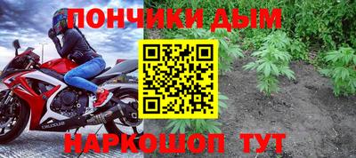ГАЛЛЮЦИНОГЕННЫЕ ГРИБЫ Камышлов