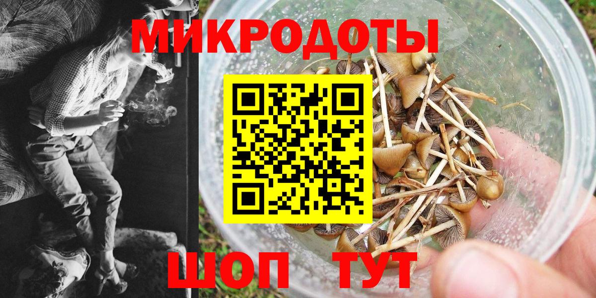 Галлюциногенные грибы Cubensis  Вход с VPN  Усть-Кут 